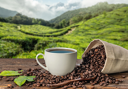 Coffee Bag with Valve